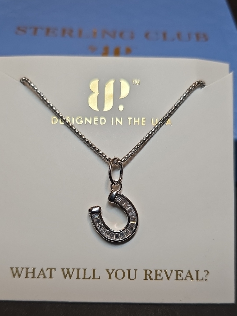 Bomb Party Sterling Necklace